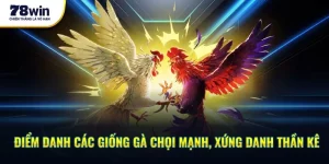 diem-danh-cac-giong-ga-choi-manh-xung-danh-than-ke