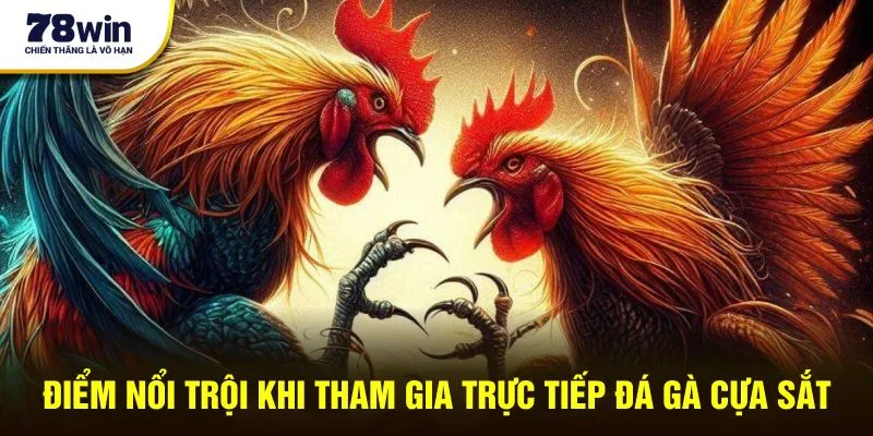 Điểm nổi trội khi tham gia trực tiếp đá gà cựa sắt