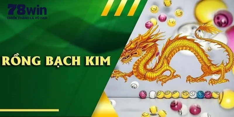 Giới thiệu về hình thức soi cầu Rồng Bạch Kim