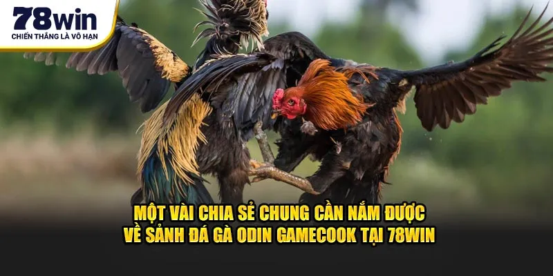 Một vài chia sẻ chung cần nắm được về sảnh đá gà ODIN GAMECOOK tại 78Win