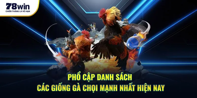 Phổ cập danh sách các giống gà chọi mạnh nhất hiện nay