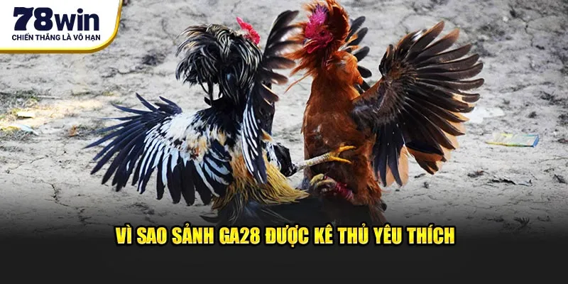Vì sao sảnh GA28 được kê thủ yêu thích